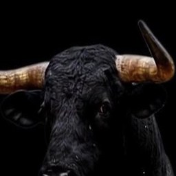 Cabeza de toro, logotipo de Cornelia